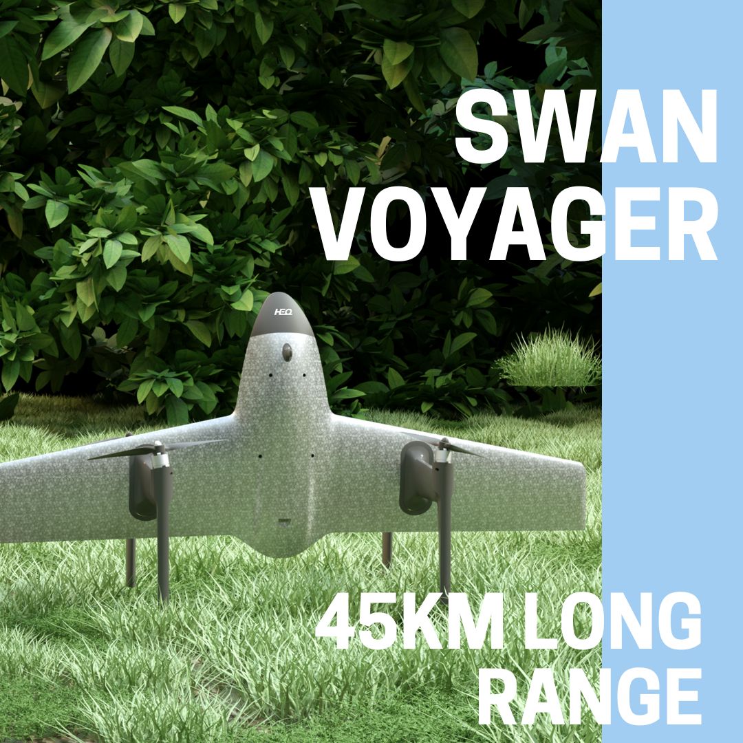 Swan Voyager-Do you really know?